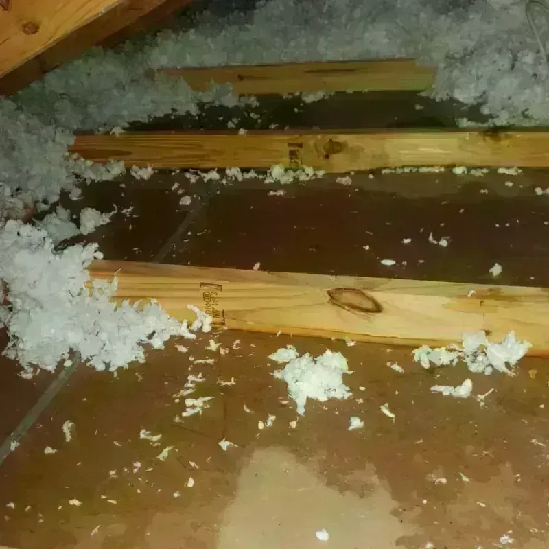 Attic Water Damage in Lowell, MA